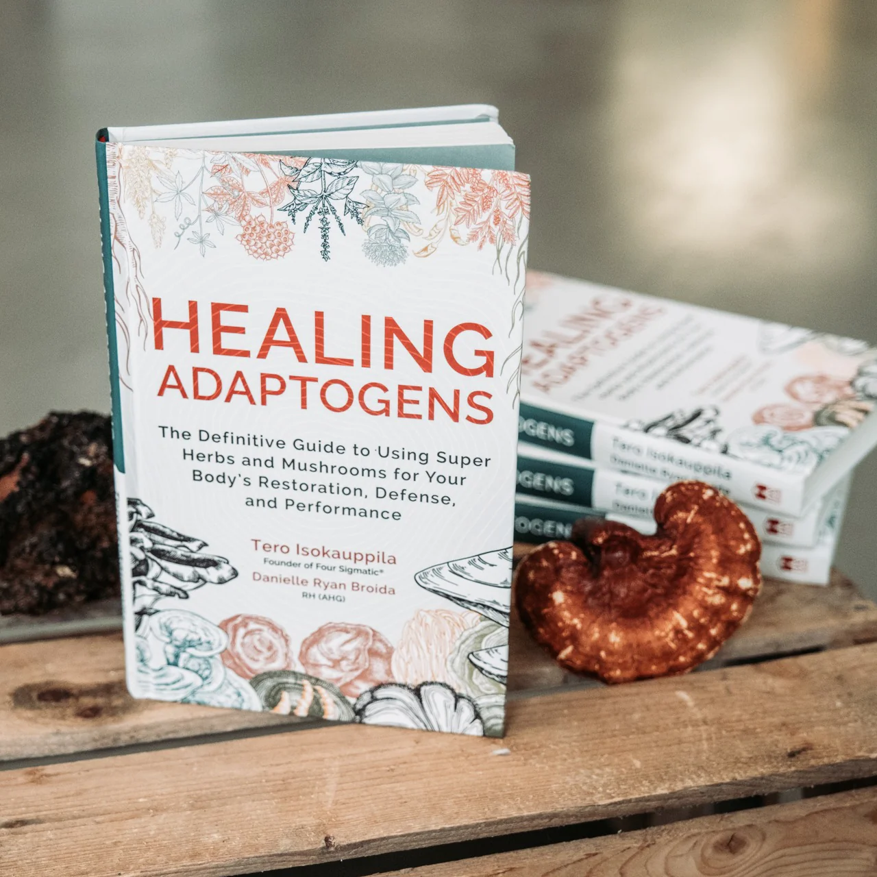 Healing Adaptogens Book - Image 3
