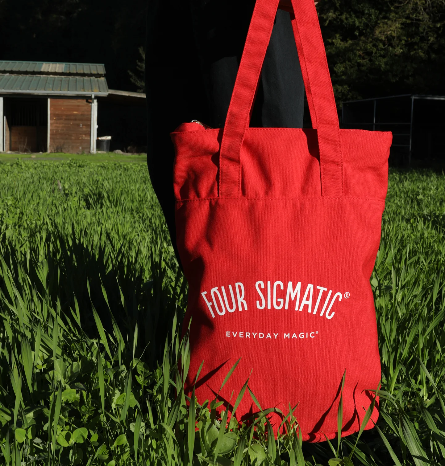 Tote/ Backpack - Image 4